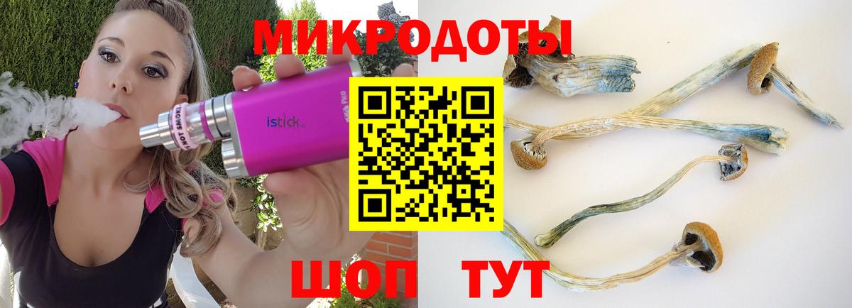 Псилоцибиновые грибы GOLDEN TEACHER  купить  цена  Анапа  Вход с VPN  Псилоцибиновые грибы прущие грибы 